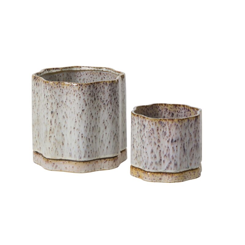 Accent Decor Plants Avenell Pot with Saucer