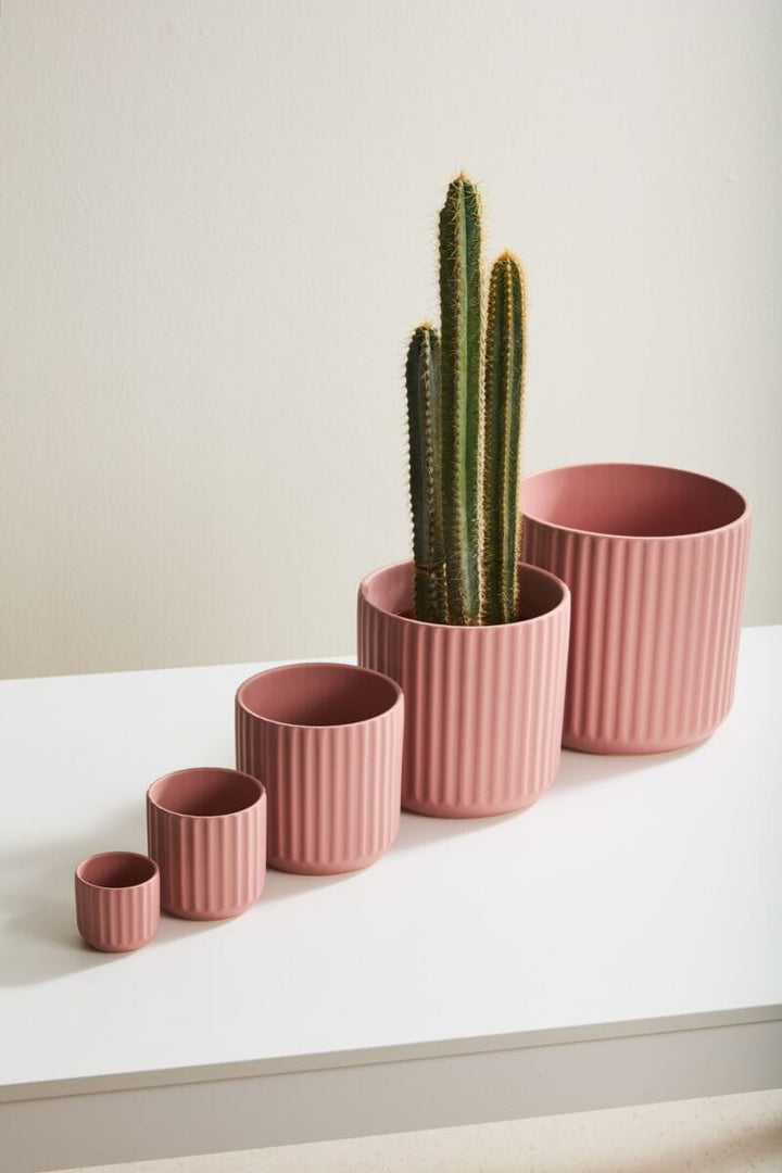 Accent Decor Plants Beam Pot - Pink
