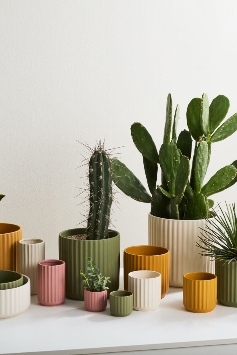 Accent Decor Plants Beam Pot - Pink