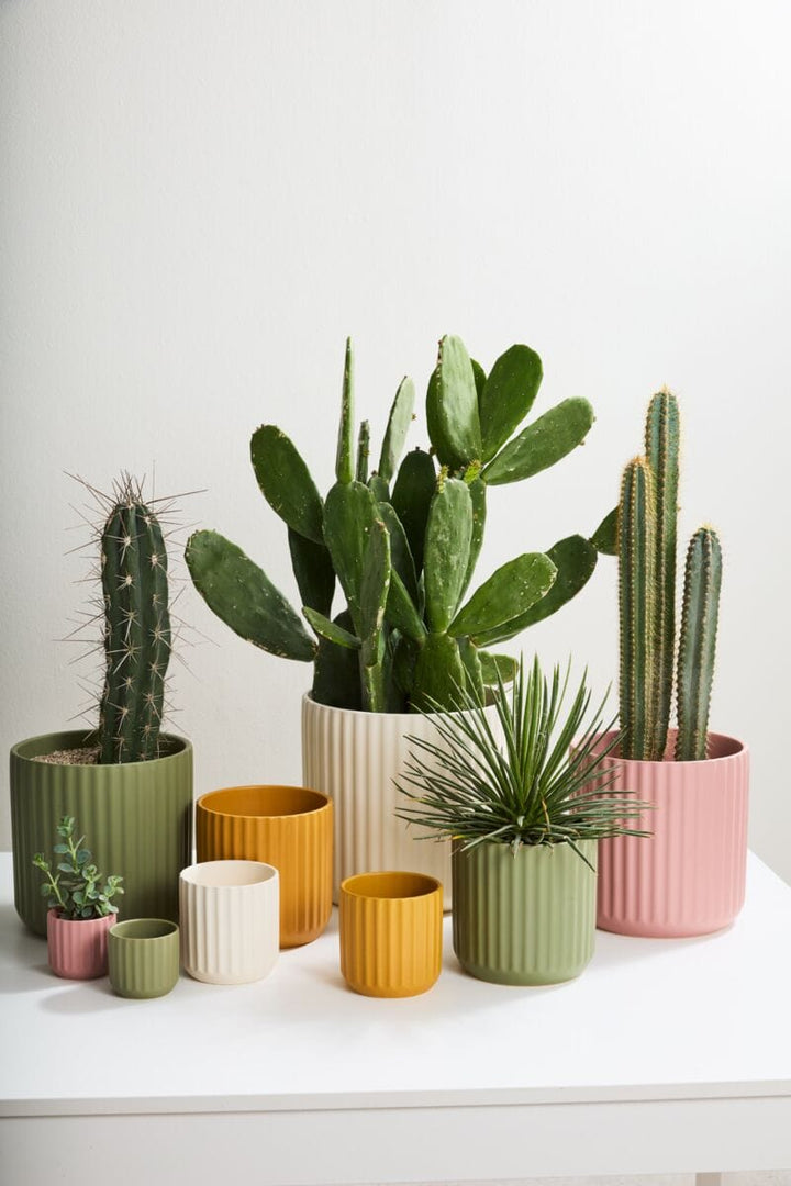 Accent Decor Plants Beam Pot - Pink