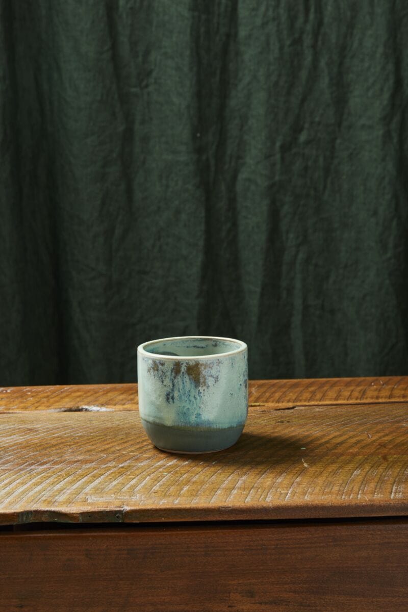 Accent Decor Plants Caribe Pot - 4.5" x 4"