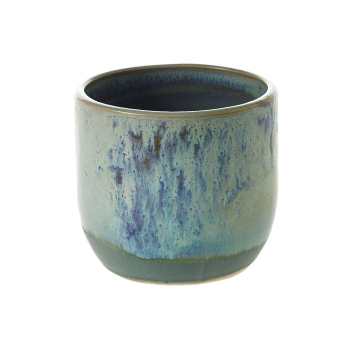 Accent Decor Plants Caribe Pot - 4.5" x 4"