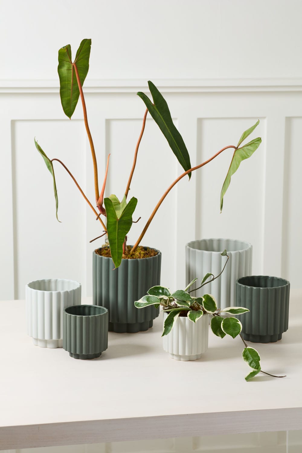 Accent Decor Plants Carmen Pot
