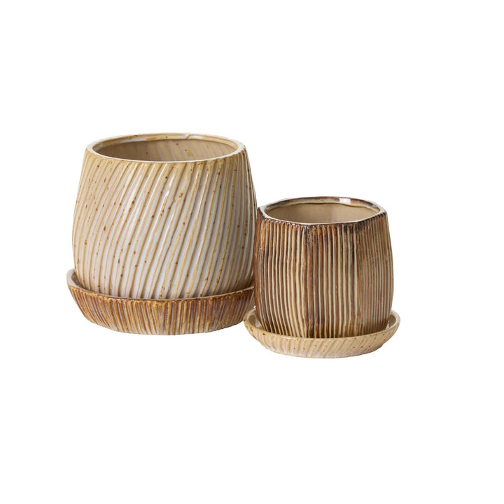 Accent Decor Plants Carved Pot with Saucer