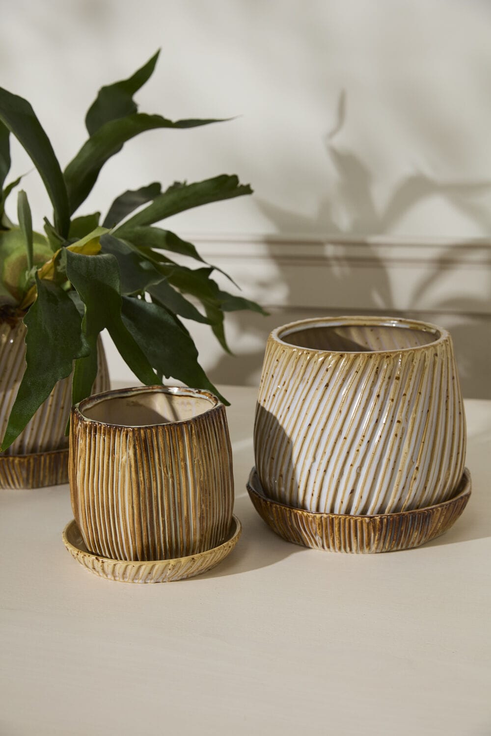 Accent Decor Plants Carved Pot with Saucer