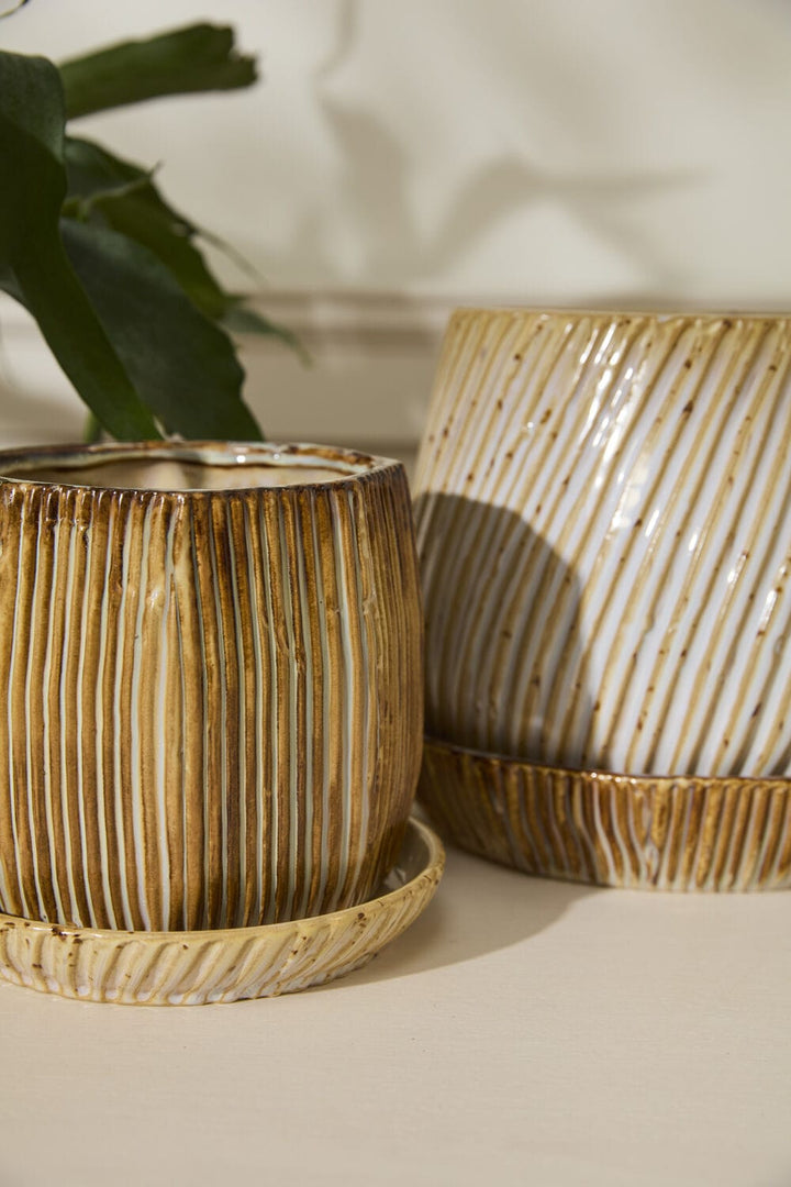 Accent Decor Plants Carved Pot with Saucer