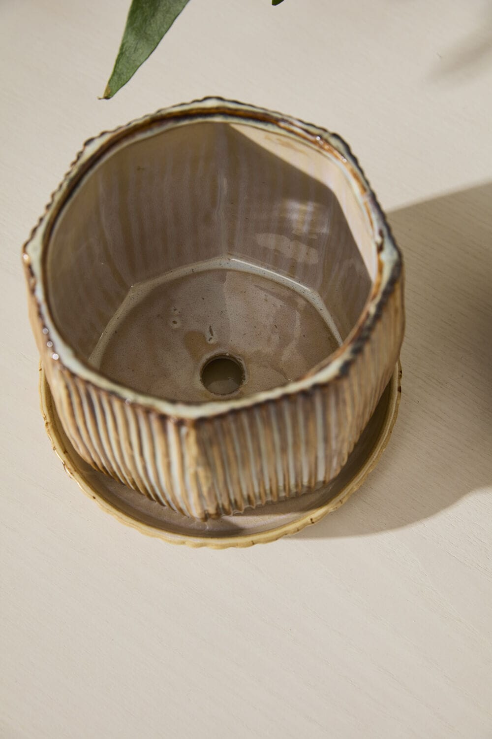 Accent Decor Plants Carved Pot with Saucer