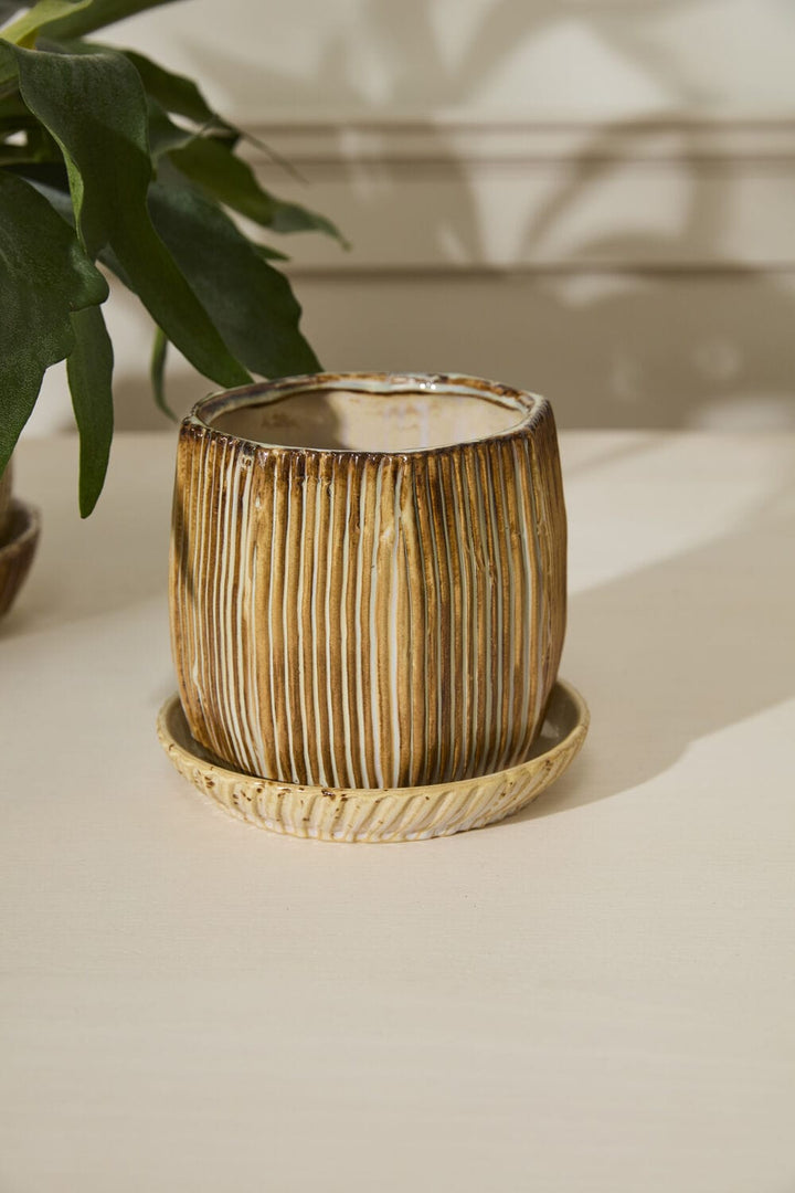 Accent Decor Plants Carved Pot with Saucer