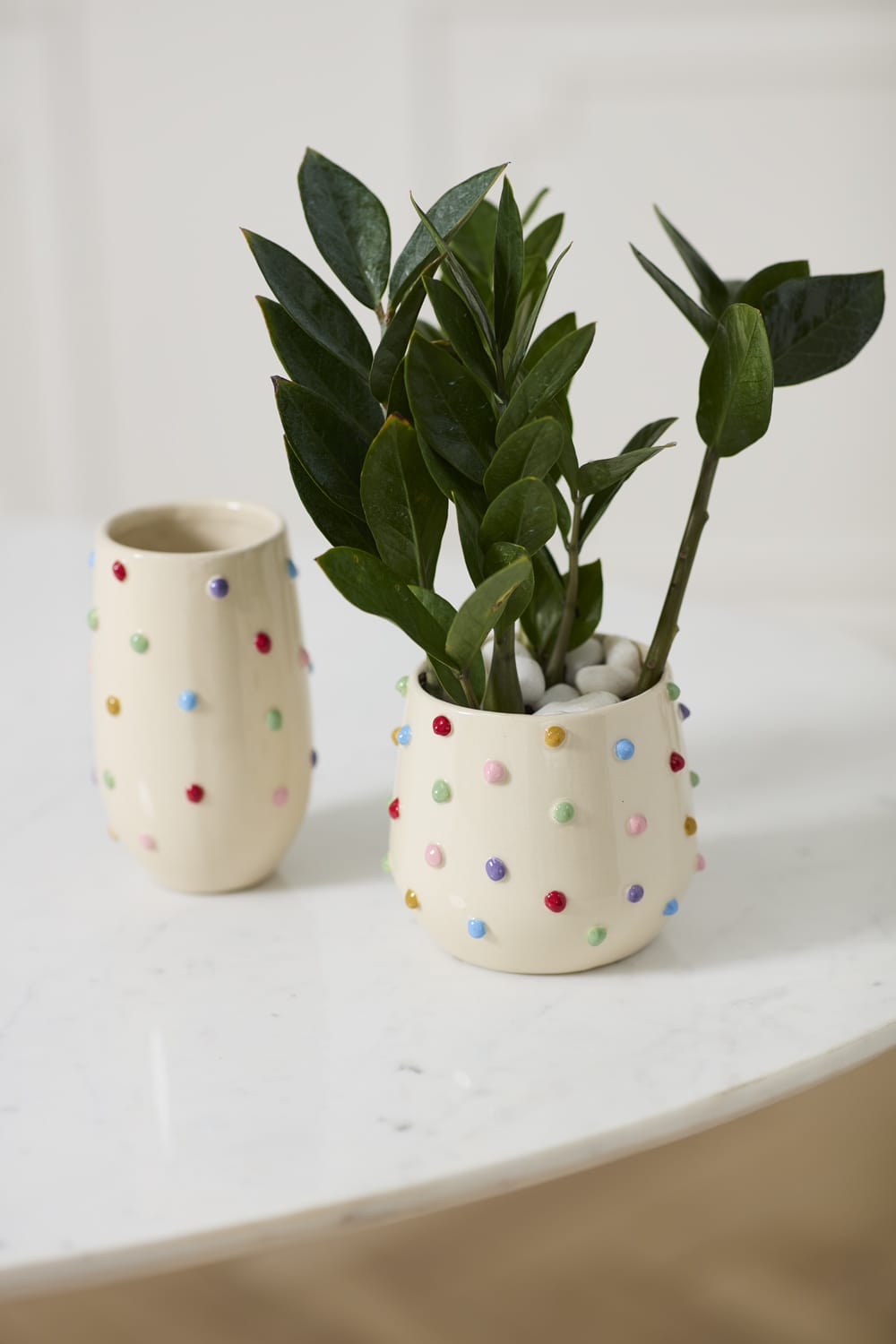 Accent Decor Plants Color Dot Pot