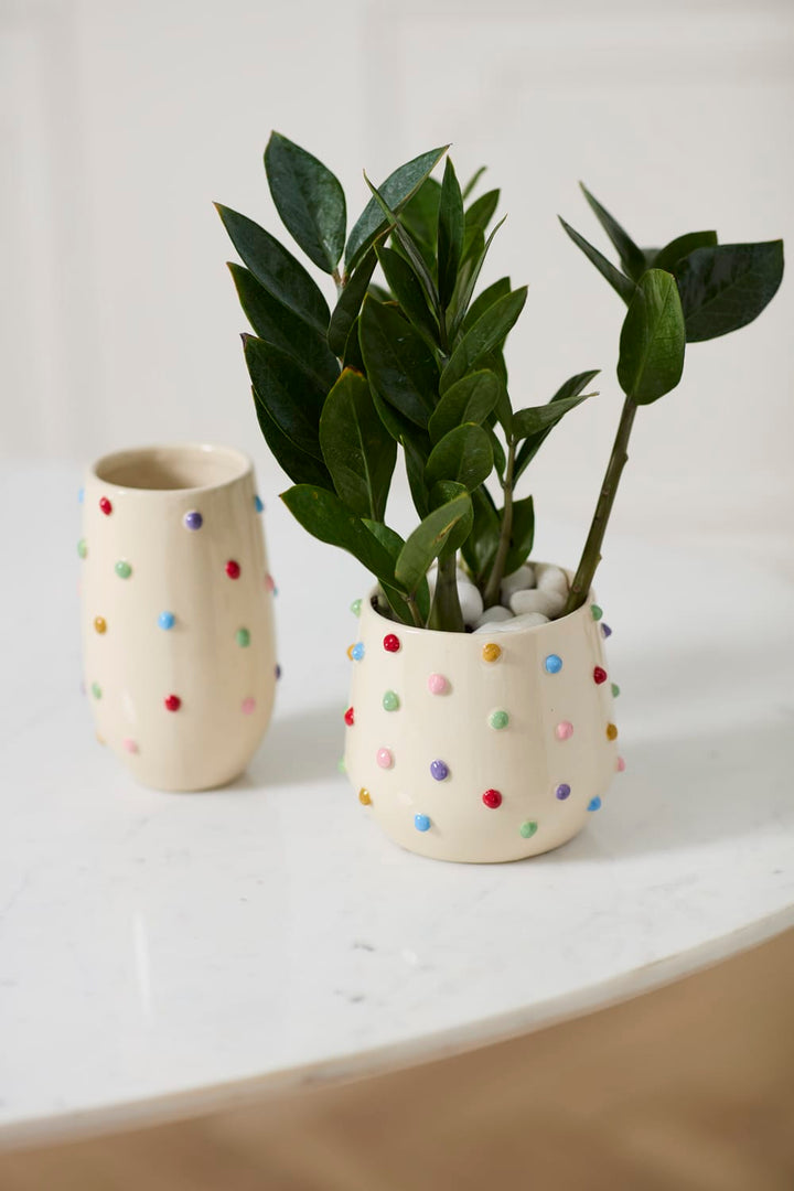 Accent Decor Plants Color Dot Pot