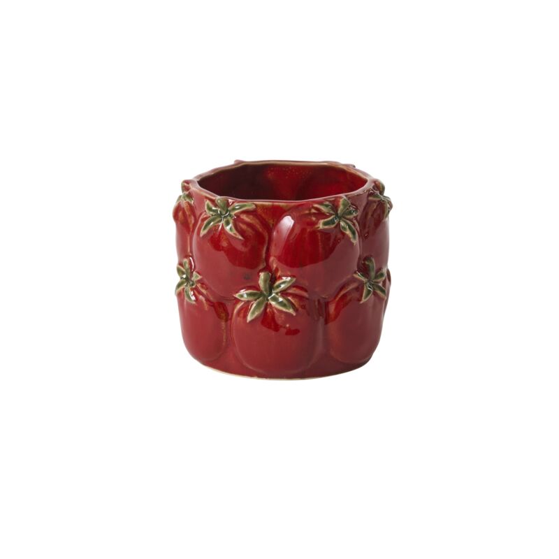 Accent Decor Plants Cucina Pot - Tomatoes