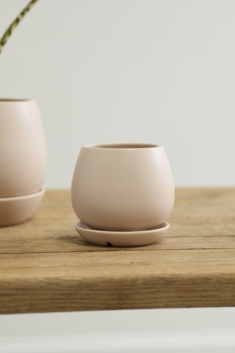 Accent Decor Plants Dalton Pot with Saucer - Light Pink