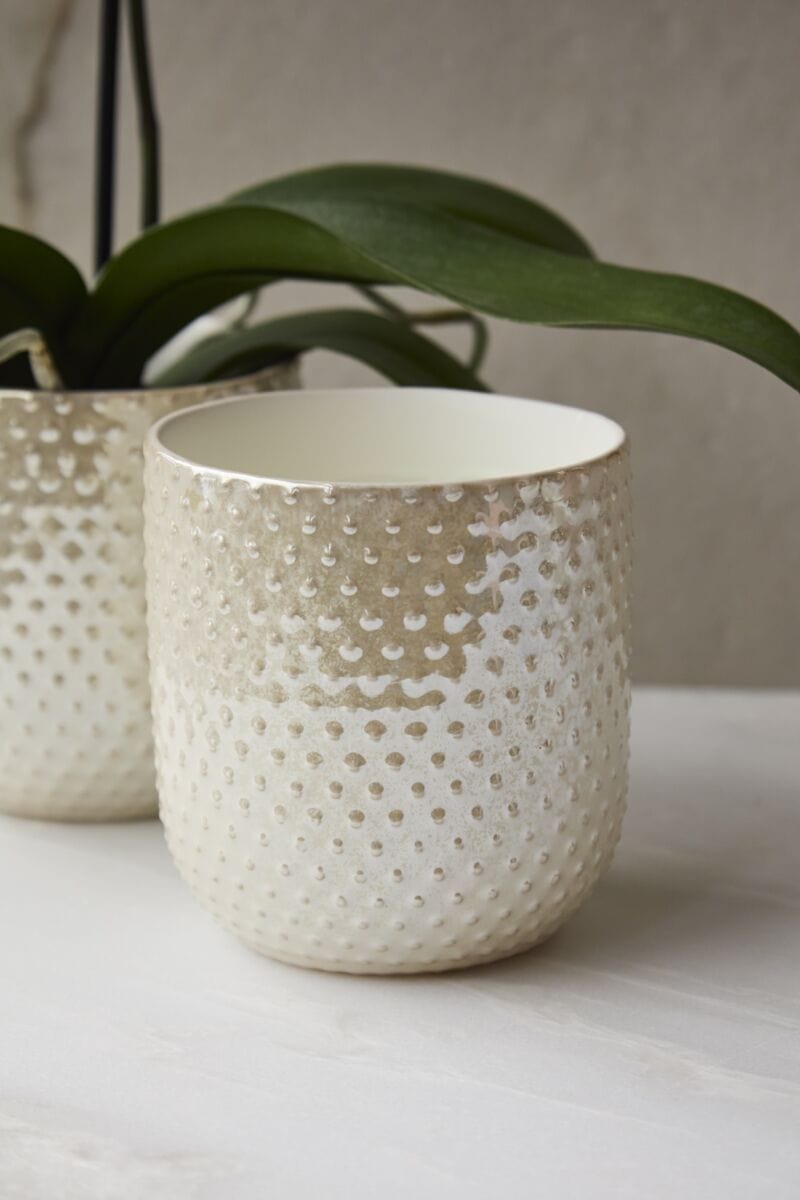 Accent Decor Plants Everly Pot - Iridescent