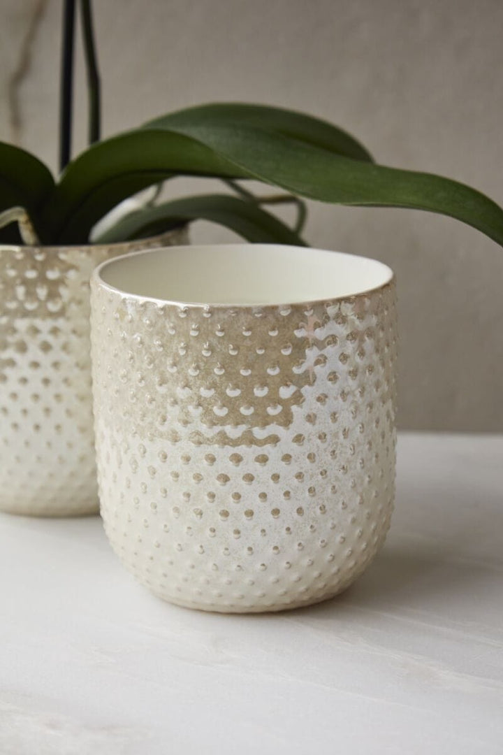 Accent Decor Plants Everly Pot - Iridescent