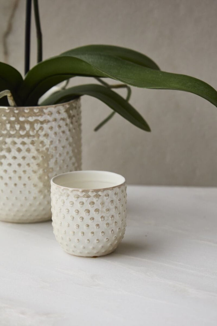 Accent Decor Plants Everly Pot - Iridescent