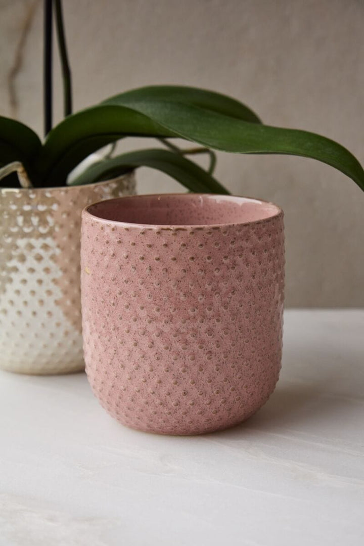 Accent Decor Plants Everly Pot - Light Pink