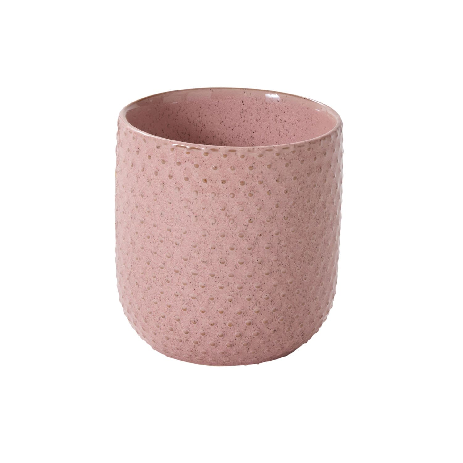 Accent Decor Plants Everly Pot - Light Pink