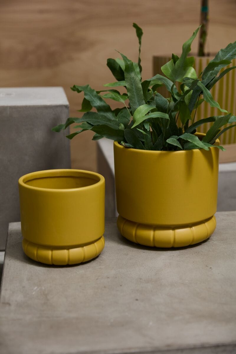 Accent Decor Plants Fara Pot