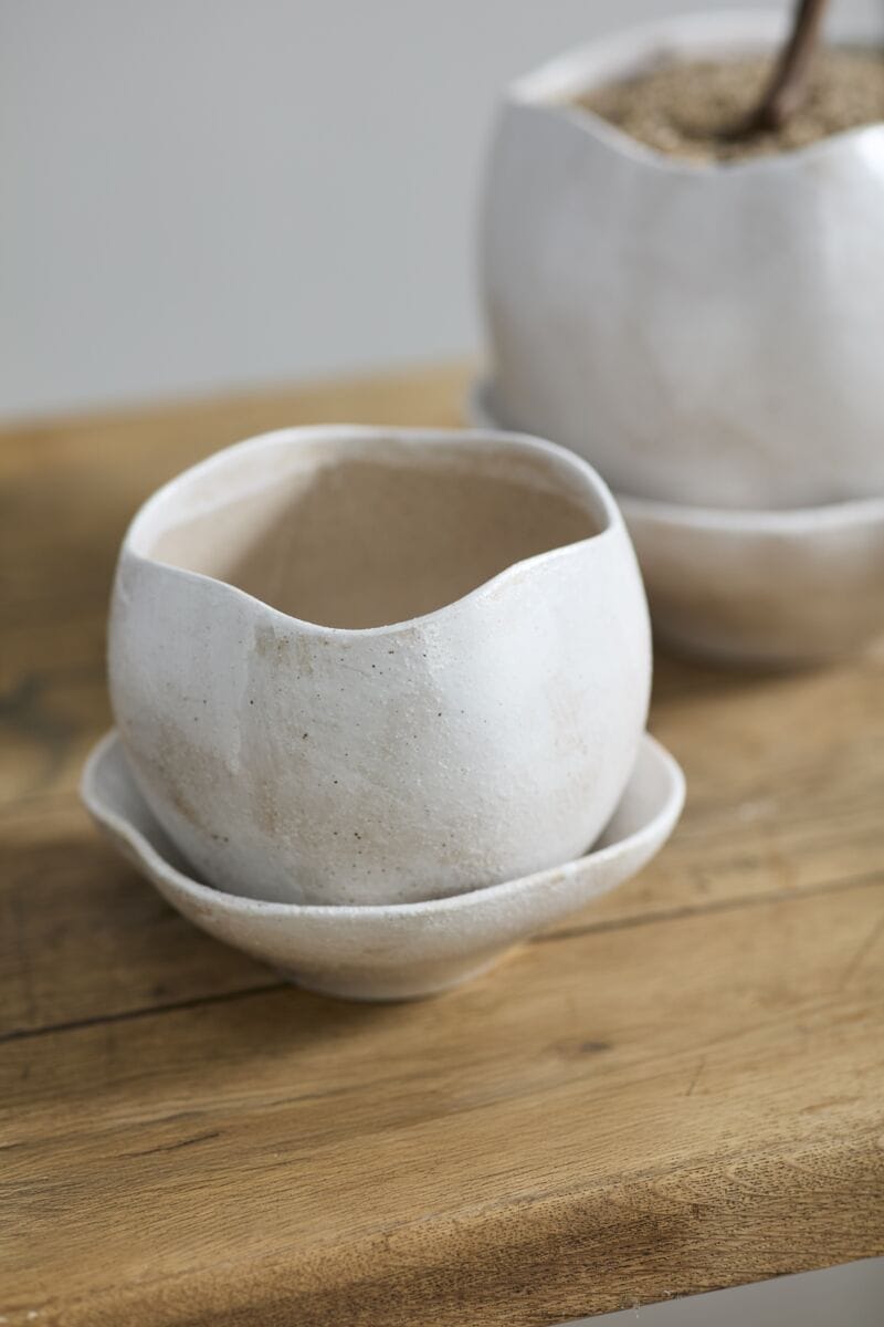 Accent Decor Plants Iona Pot