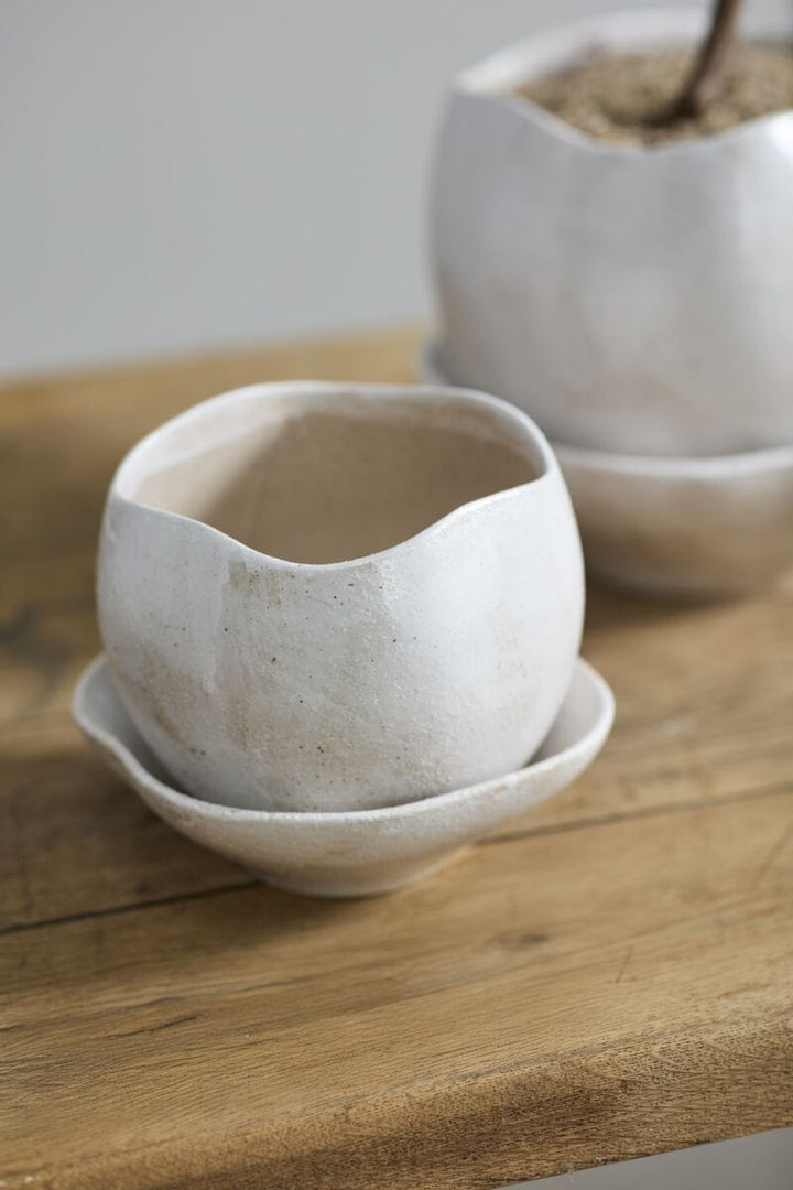 Accent Decor Plants Iona Pot