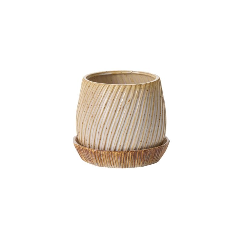 Accent Decor Plants Large (8.75") Carved Pot with Saucer