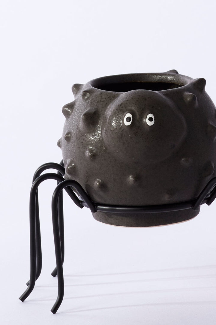 Accent Decor Plants Large Silly Spider Pot
