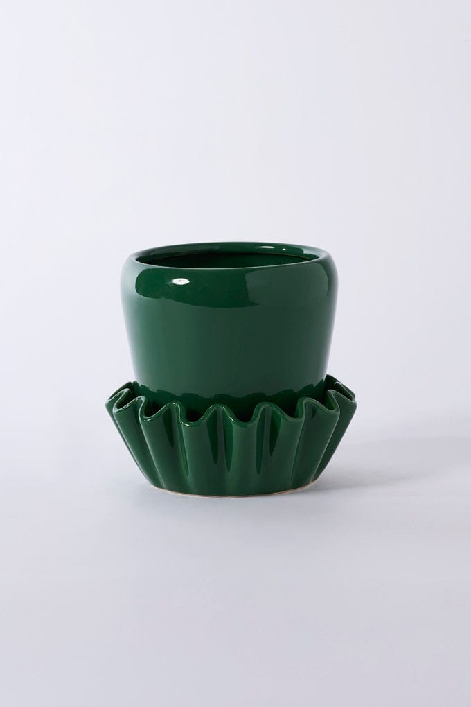 Accent Decor Plants Lorelai Pot with Saucer