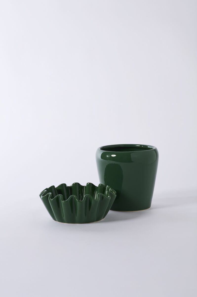 Accent Decor Plants Lorelai Pot with Saucer