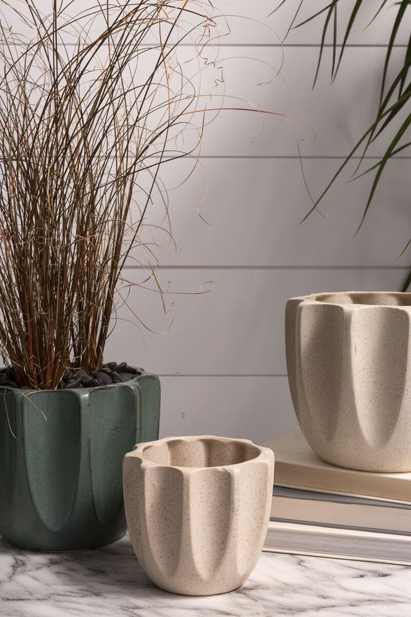 Accent Decor Plants Off-White Beaumont Pot - 5.5" x 4.5"
