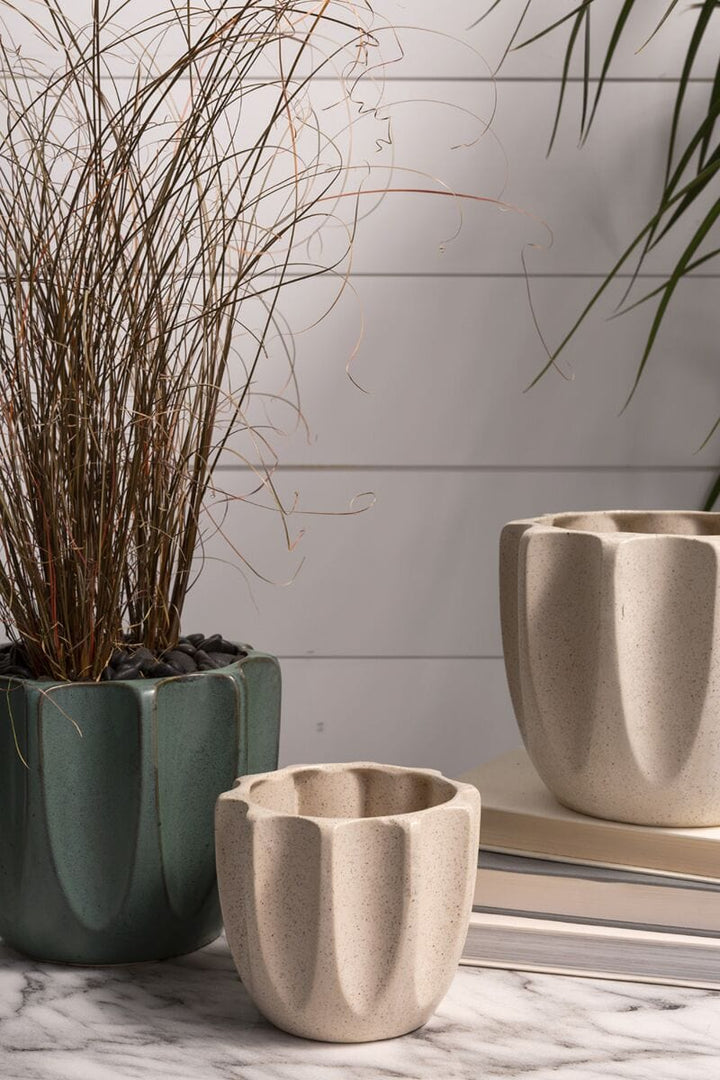 Accent Decor Plants Off-White Beaumont Pot - 5.5" x 4.5"