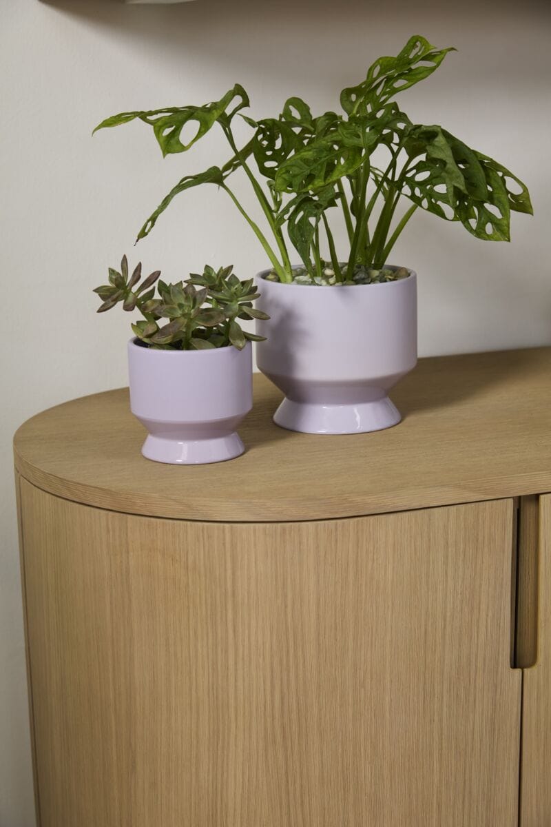 Accent Decor Plants Pasadena Pot - Light Purple
