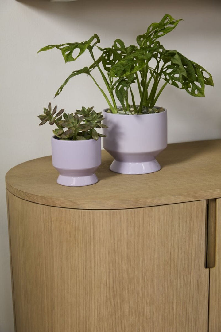 Accent Decor Plants Pasadena Pot - Light Purple