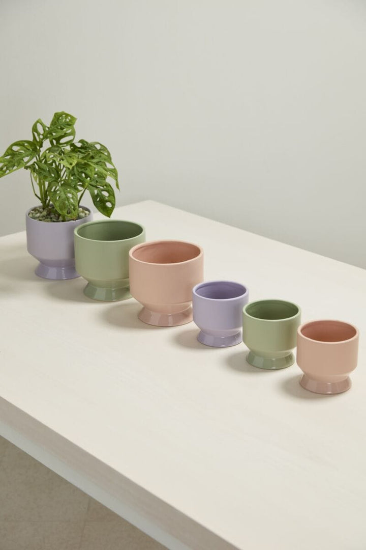 Accent Decor Plants Pasadena Pot - Light Purple
