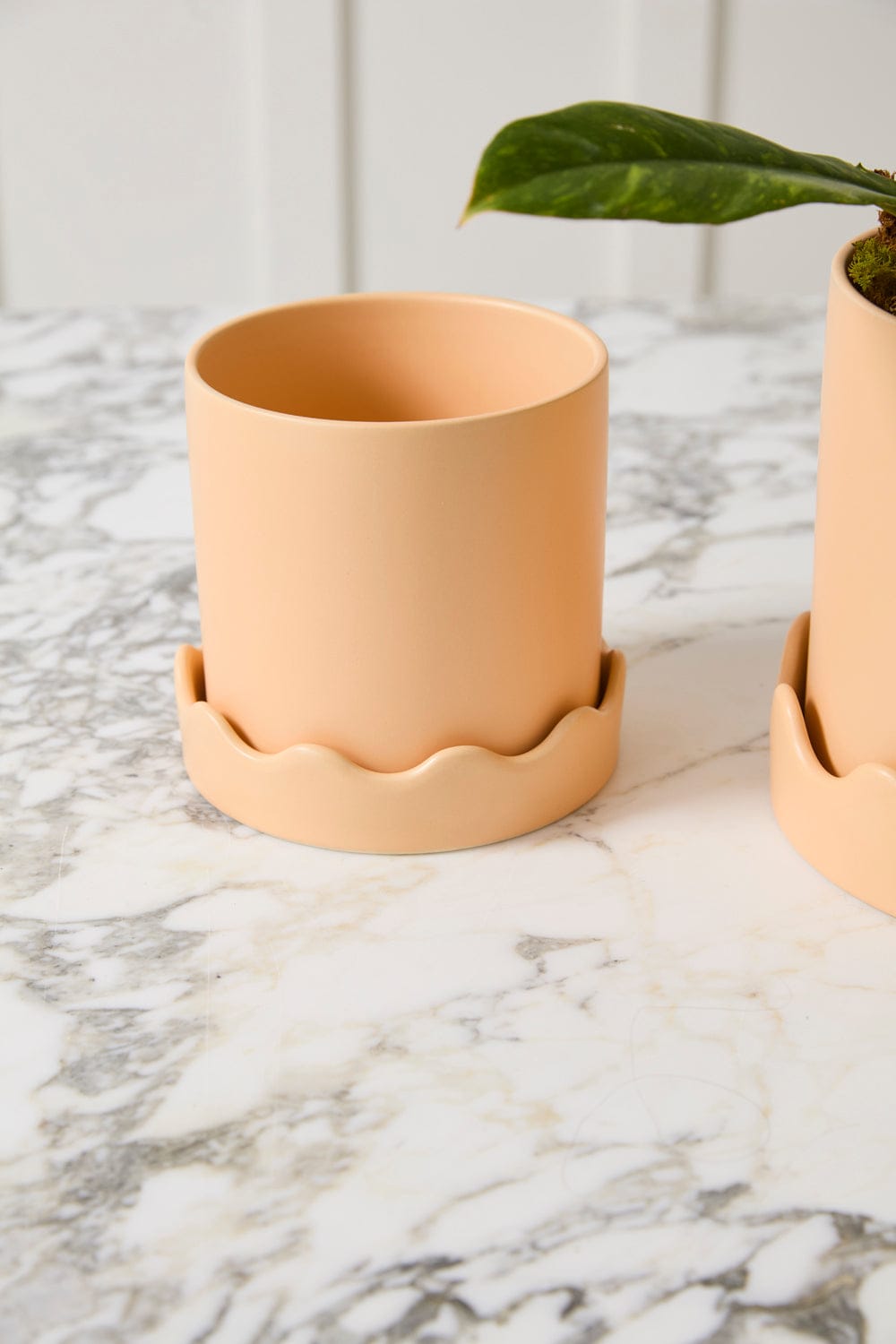 Accent Decor Plants Peach Pissaro Pot with Saucer 6"x 5.75"