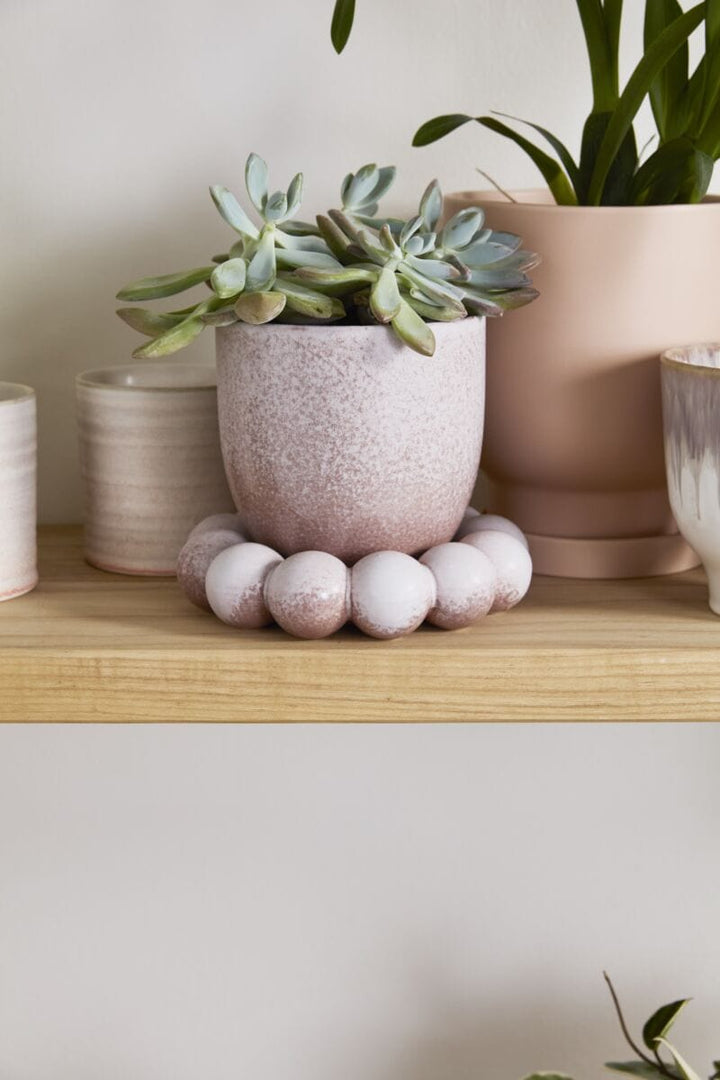 Accent Decor Plants Pearl Pot with Saucer