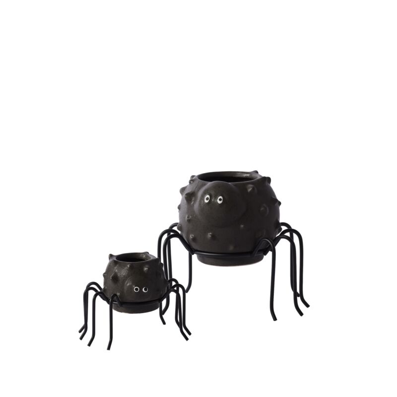 Accent Decor Plants Silly Spider Pot