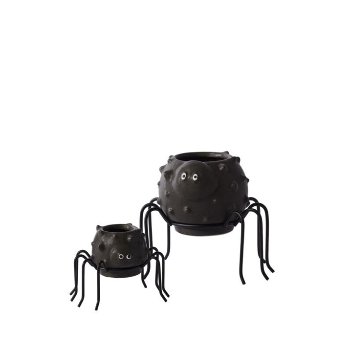 Accent Decor Plants Silly Spider Pot