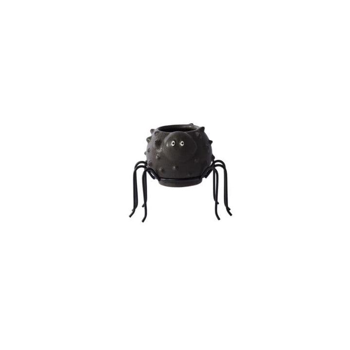 Accent Decor Plants Small Silly Spider Pot