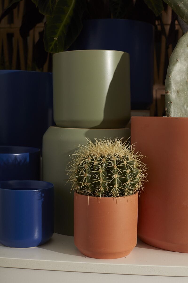 Accent Decor Plants Terracotta Kendall Pot
