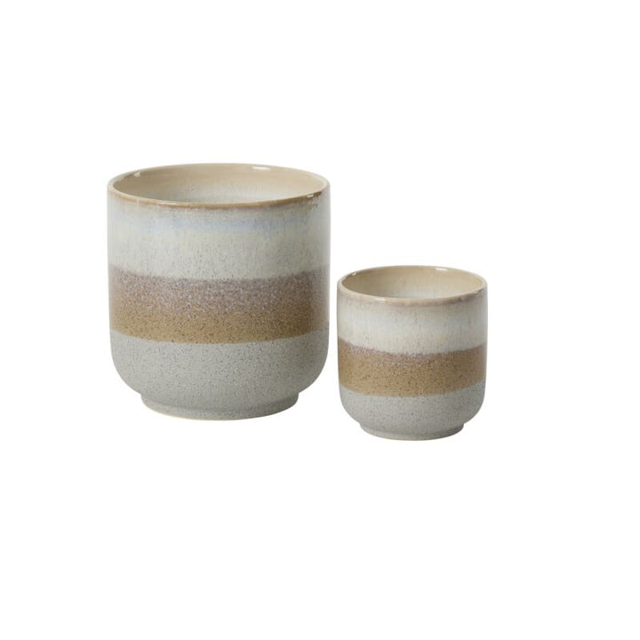 Accent Decor Plants Tremaine Pot