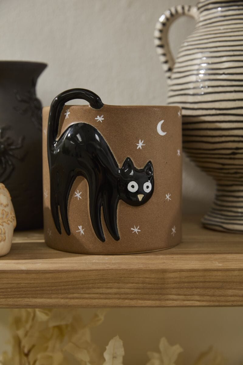 Accent Decor Plants Witching Hour Black Cat Pot
