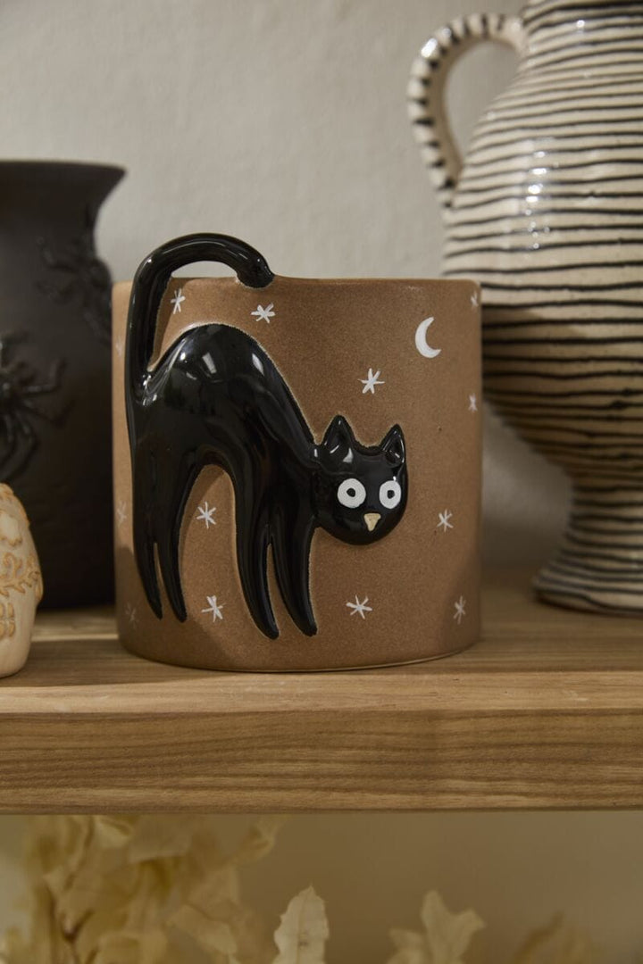 Accent Decor Plants Witching Hour Black Cat Pot