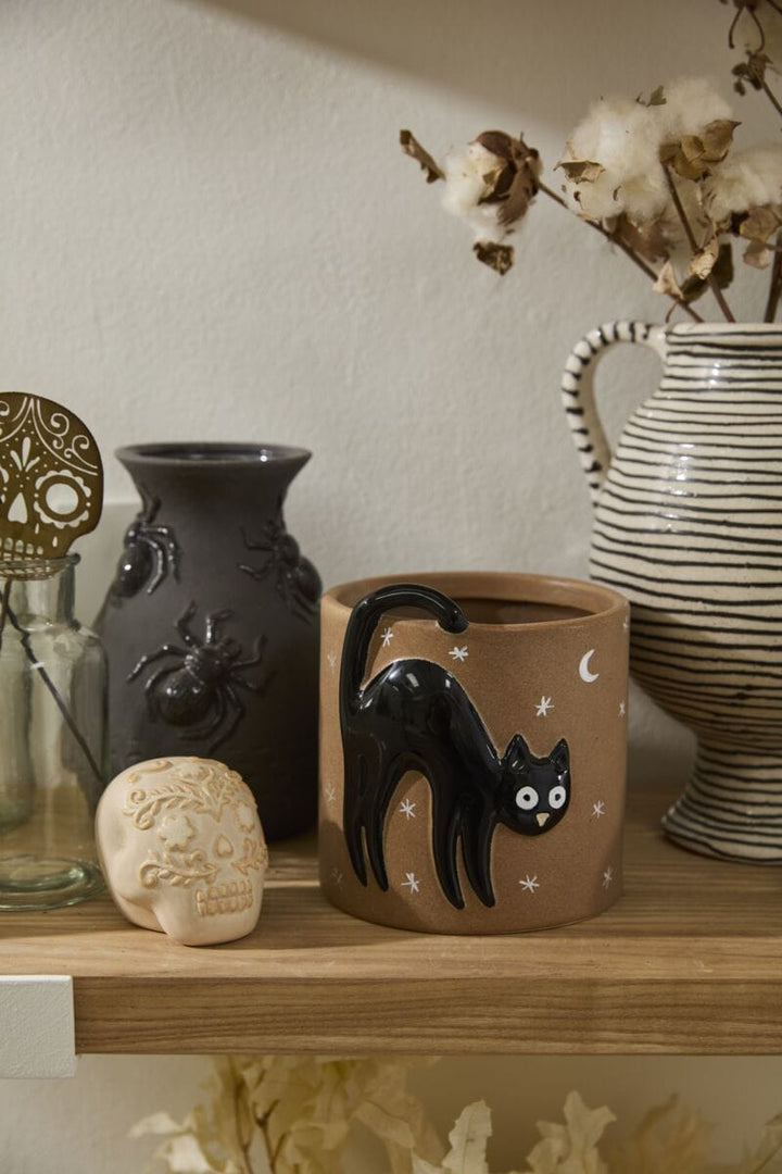 Accent Decor Plants Witching Hour Black Cat Pot