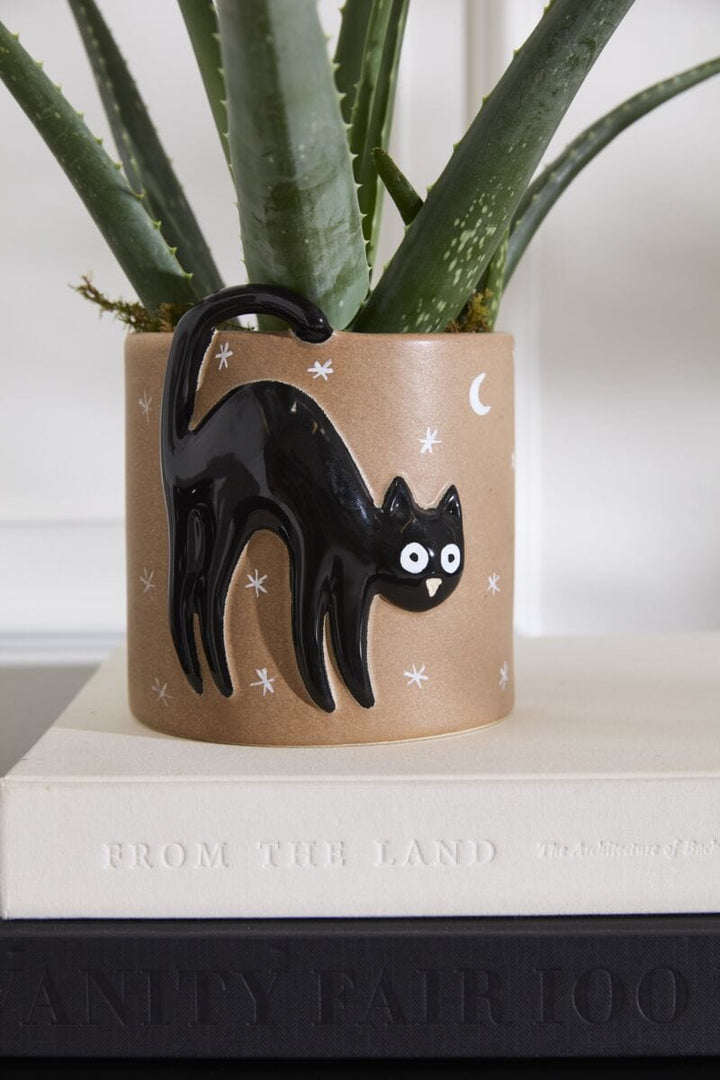 Accent Decor Plants Witching Hour Black Cat Pot