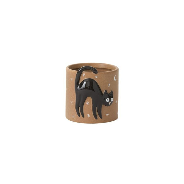Accent Decor Plants Witching Hour Black Cat Pot