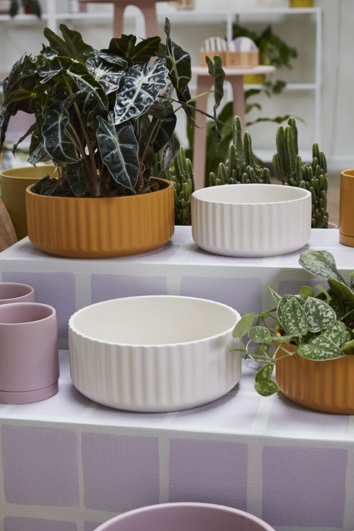 Accent Decor Pots & Planters Beam Bowl