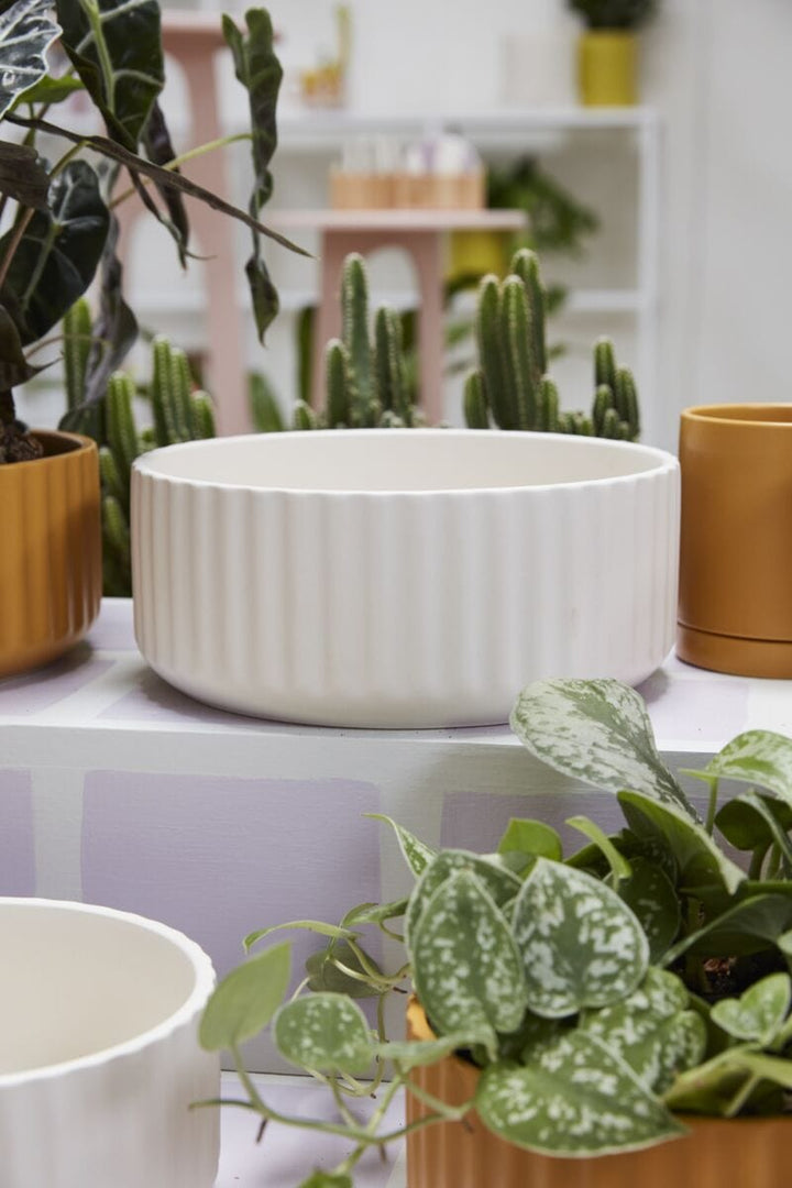 Accent Decor Pots & Planters Beam Bowl