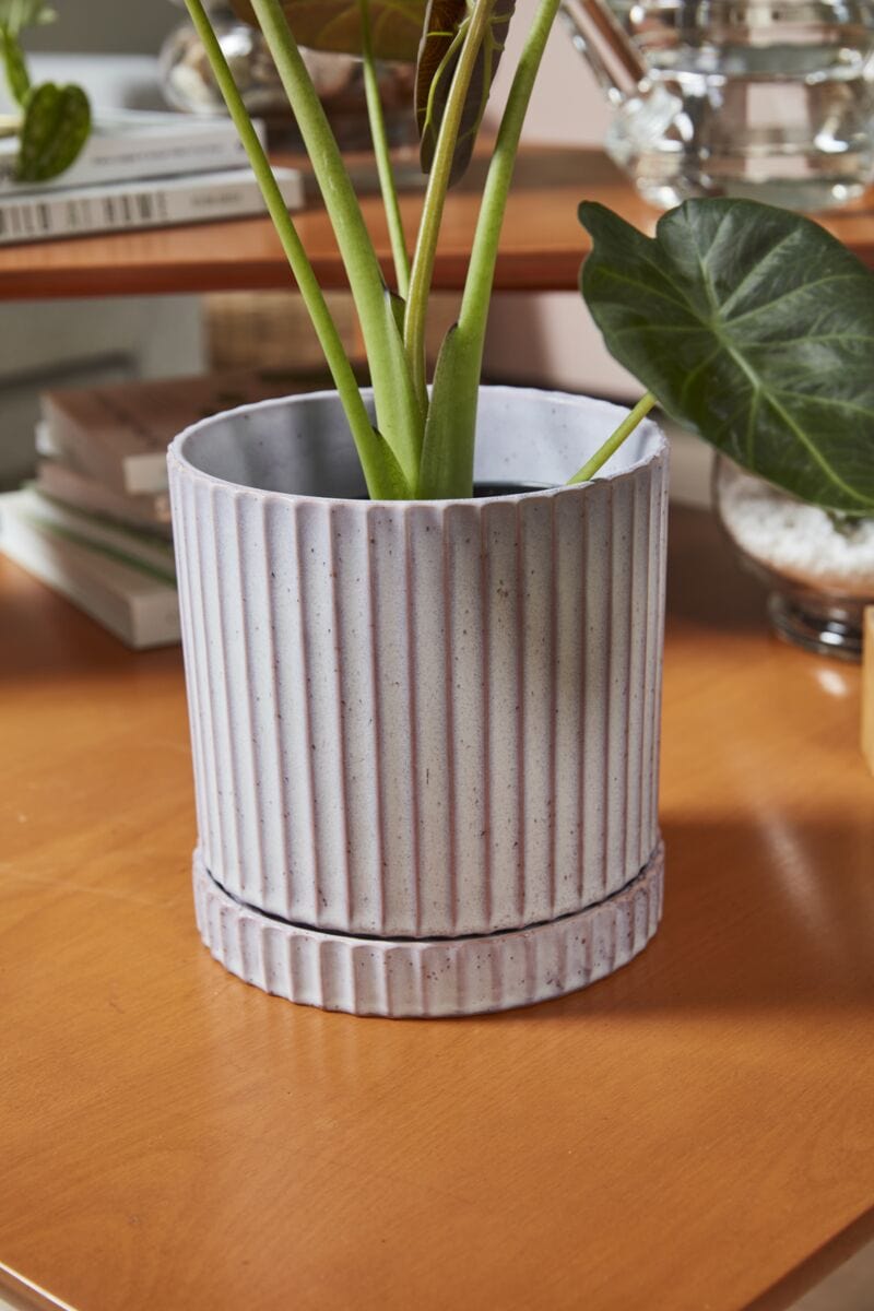 Accent Decor Pots & Planters Light Purple Los Feliz Pot with Saucer 5"x 5.5"