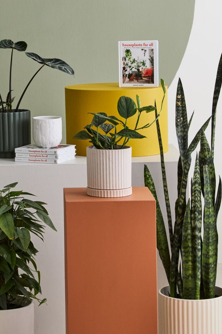 Accent Decor Pots & Planters Los Feliz Pot with Saucer