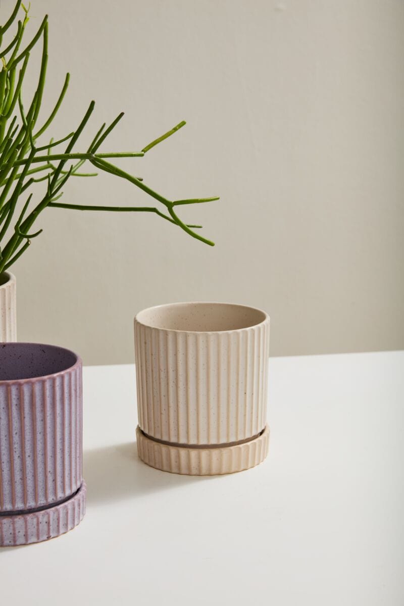 Accent Decor Pots & Planters Los Feliz Pot with Saucer